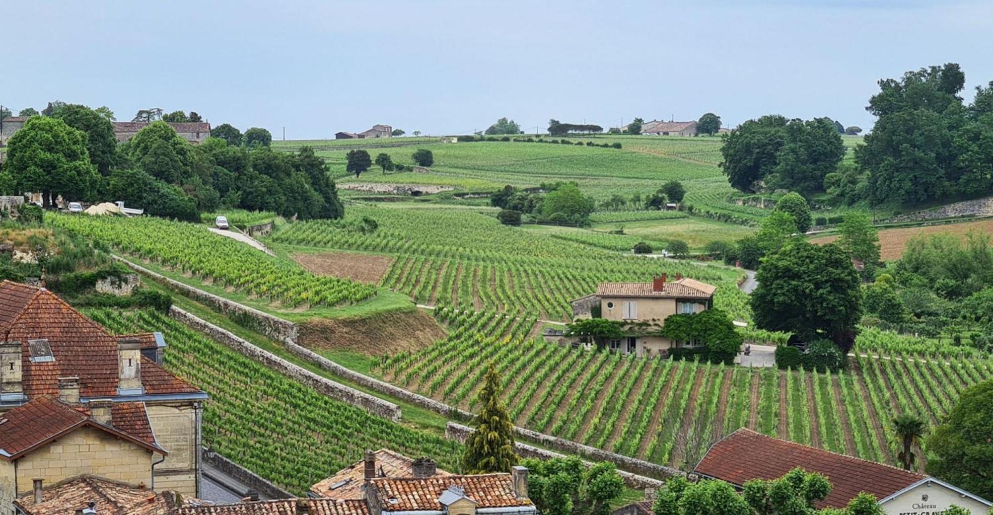 Maison Cosy Avec Vue Sur Les Vignes. Libourne Exterior foto