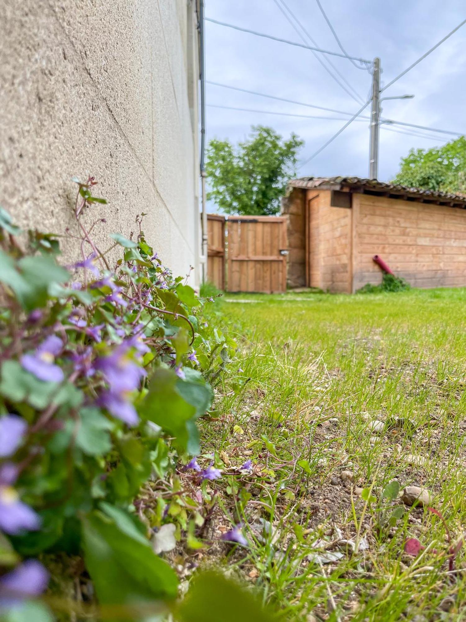 Maison Cosy Avec Vue Sur Les Vignes. Libourne Exterior foto